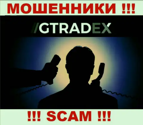 Инфы о непосредственных руководителях обманщиков GTradex Net во всемирной internet сети не получилось найти