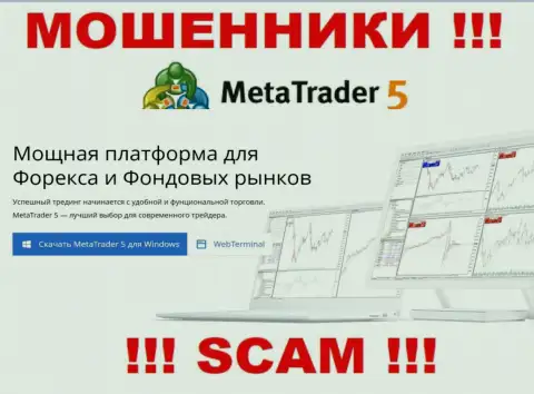 Meta Trader 5 занимаются разводом доверчивых людей, орудуя в области Программное обеспечение