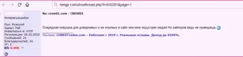 Нелестный комментарий, направленный в адрес незаконно действующей организации Crowd 1