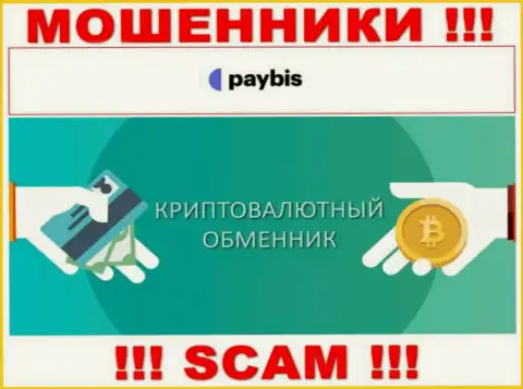 Крипто обменник - тип деятельности противозаконно действующей компании PayBis Com