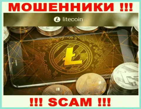 Совместно сотрудничать с LiteCoin слишком рискованно, т.к. их направление деятельности Крипто сервис - это обман