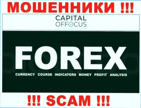 С конторой CapitalOfFocus сотрудничать довольно рискованно, их вид деятельности Forex это замануха