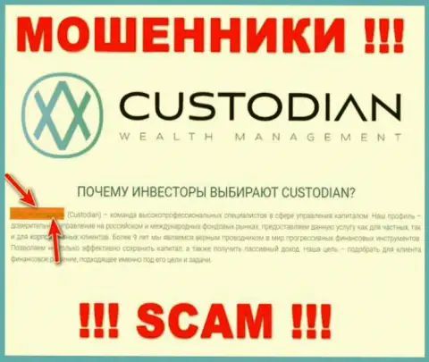Юридическим лицом, владеющим лохотронщиками ООО Кастодиан, является ООО Кастодиан