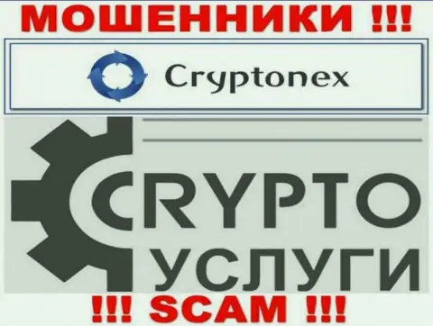 Работая совместно с CryptoNex, сфера деятельности которых Крипто услуги, можете лишиться вложенных денег