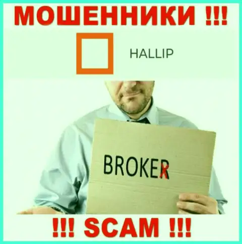 Вид деятельности интернет-аферистов Hallip Com - это Брокер, однако имейте ввиду это развод !!!