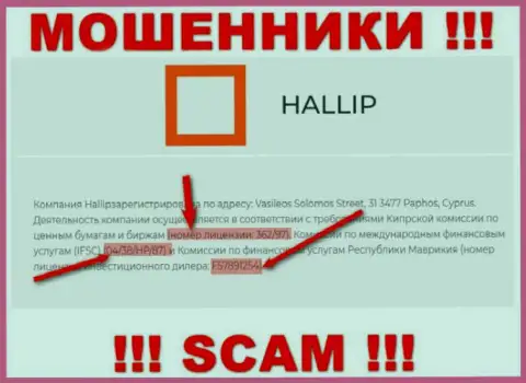 Не взаимодействуйте с мошенниками Hallip Com - существованием лицензии, на сайте, завлекают клиентов