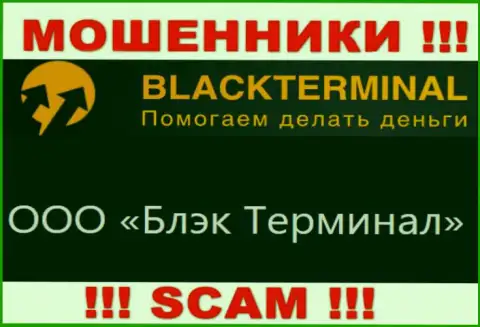 На официальном онлайн-ресурсе BlackTerminal Ru написано, что юридическое лицо компании - ООО Блэк Терминал