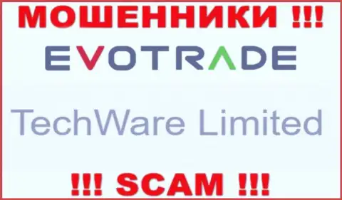 Юридическим лицом ЕвоТрейд является - TechWare Limited