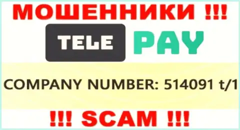Рег. номер ТелеПэй, который размещен мошенниками у них на интернет-сервисе: 514091 t/1