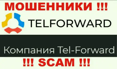 Юр. лицо TelForward - это Тел-Форвард, именно такую инфу показали мошенники на своем информационном сервисе