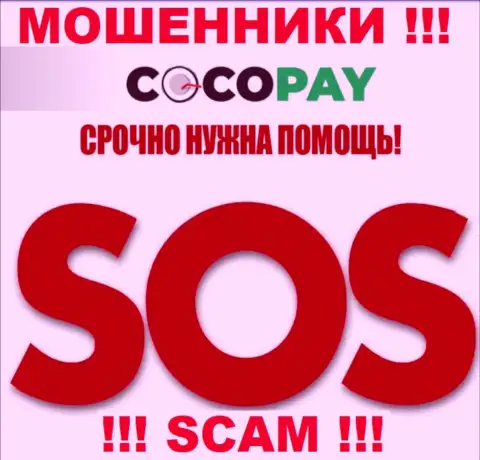 Можно еще попытаться вернуть обратно финансовые средства из компании Coco-Pay Com, обращайтесь, разузнаете, как быть
