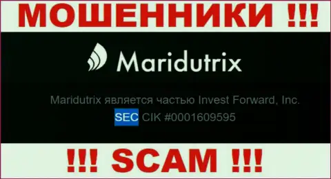 SEC - это дырявый регулятор, якобы регулирующий деятельность Maridutrix