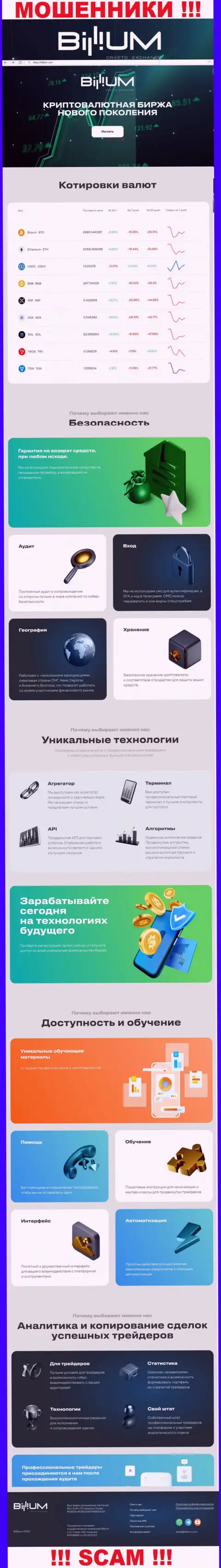 Информация о официальном web-портале мошенников Billium