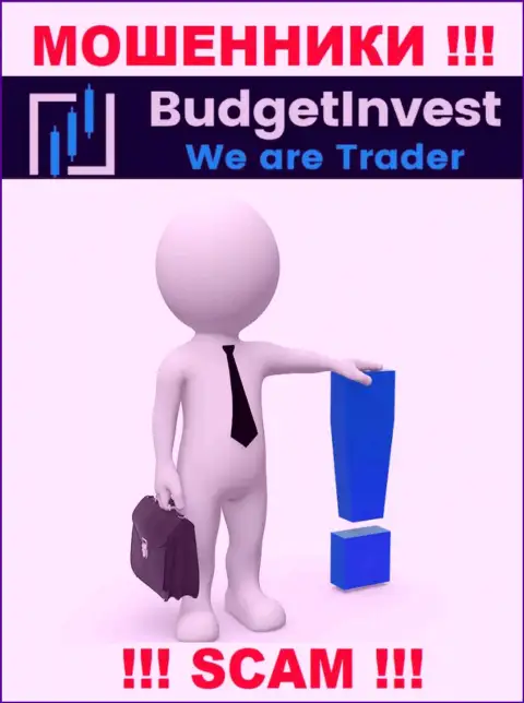 BudgetInvest - это internet-мошенники !!! Не хотят говорить, кто конкретно ими руководит