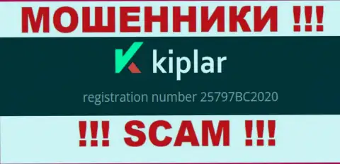 Регистрационный номер организации Kiplar, в которую кровно нажитые лучше не вкладывать: 25797BC2020