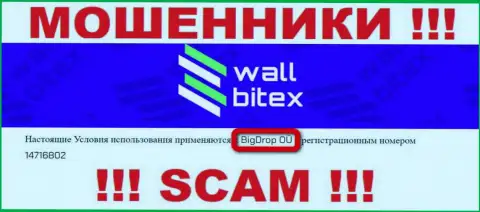 WallBitex Com - это РАЗВОДИЛЫ ! Руководит данным лохотроном BigDrop OÜ