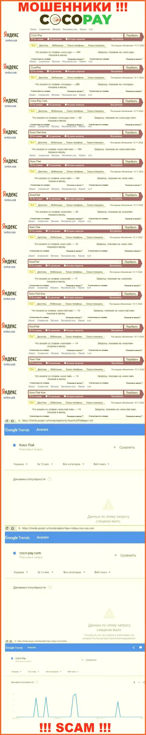 Сколько именно раз пользователи сети искали информацию об мошенниках Коко-Пэй Ком ?