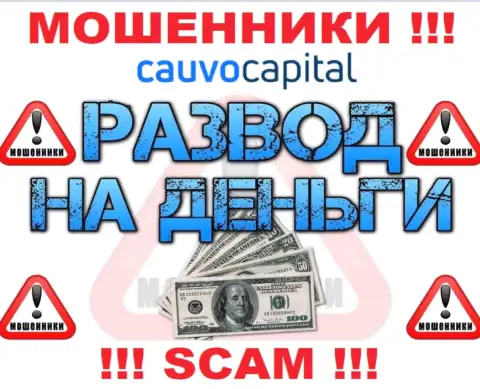 Даже и не ждите, что с брокерской компанией Cauvo Capital получится приумножить заработок, Вас надувают