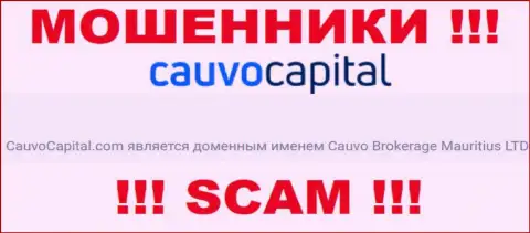 Жулики CauvoCapital принадлежат юр. лицу - Cauvo Brokerage Mauritius LTD