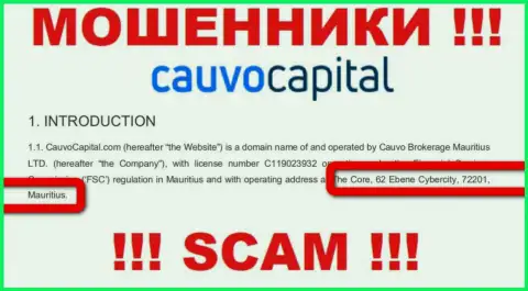 Невозможно забрать назад вложения у организации CauvoCapital Com - они засели в оффшорной зоне по адресу: The Core, 62 Ebene Cybercity, 72201, Mauritius