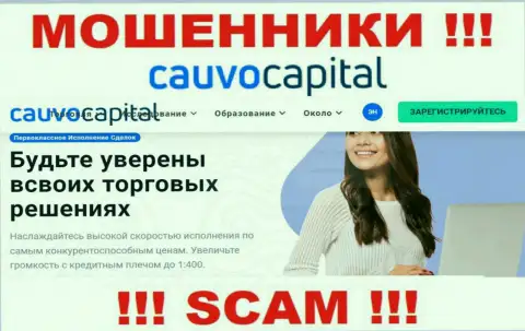 Брокер - конкретно в данном направлении оказывают свои услуги internet мошенники Cauvo Capital