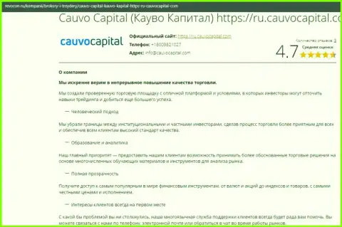 Обзорный материал об условиях для совершения сделок брокерской компании Cauvo Capital на онлайн-ресурсе ревокон ру