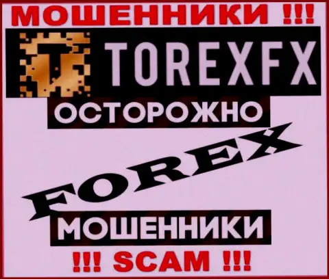 Сфера деятельности TorexFX 42 Marketing Limited: Forex - хороший доход для мошенников